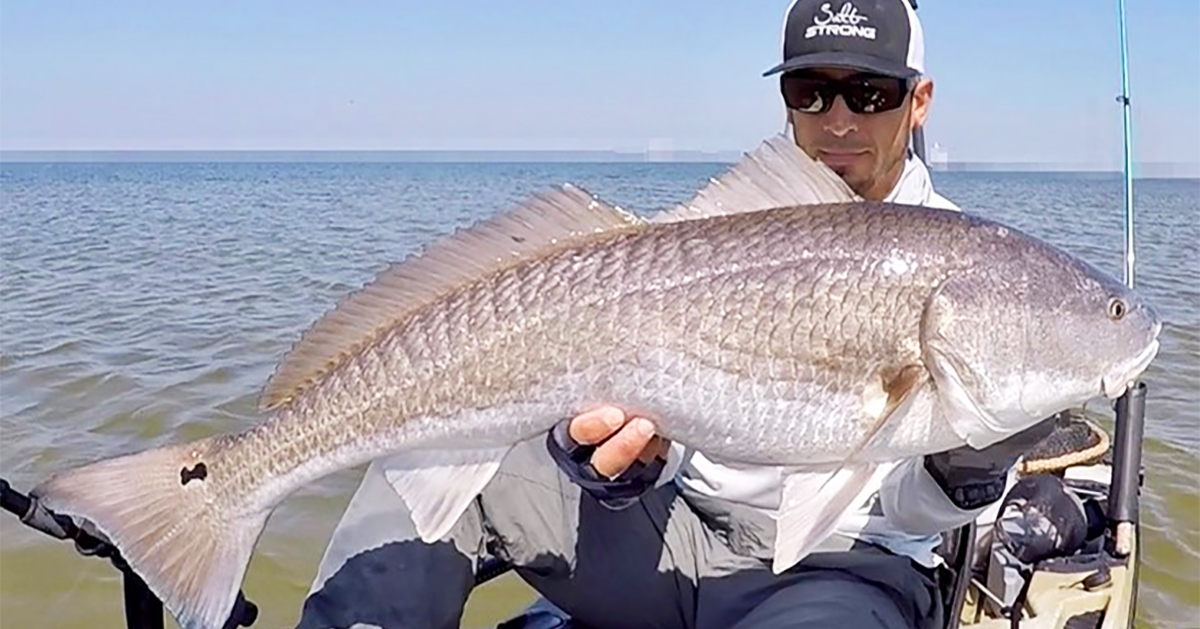 http://big%20redfish%20on%20cut%20bait