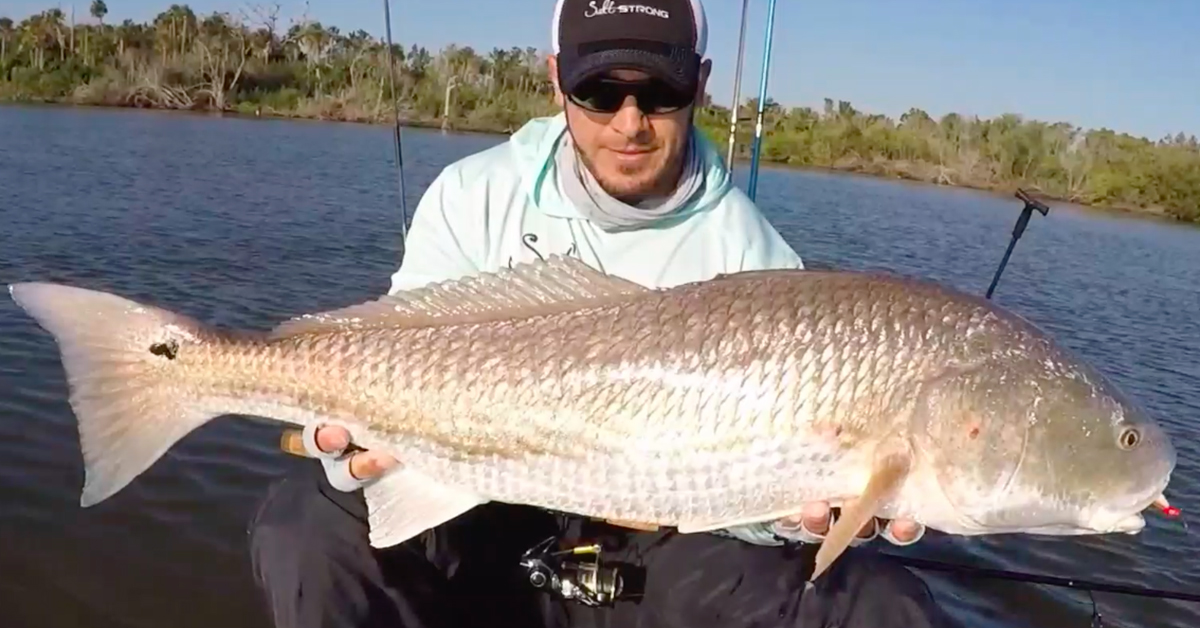 big redfish sight fishing