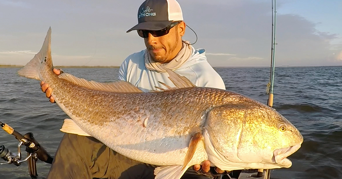 http://bull%20redfish%20artificial%20lures