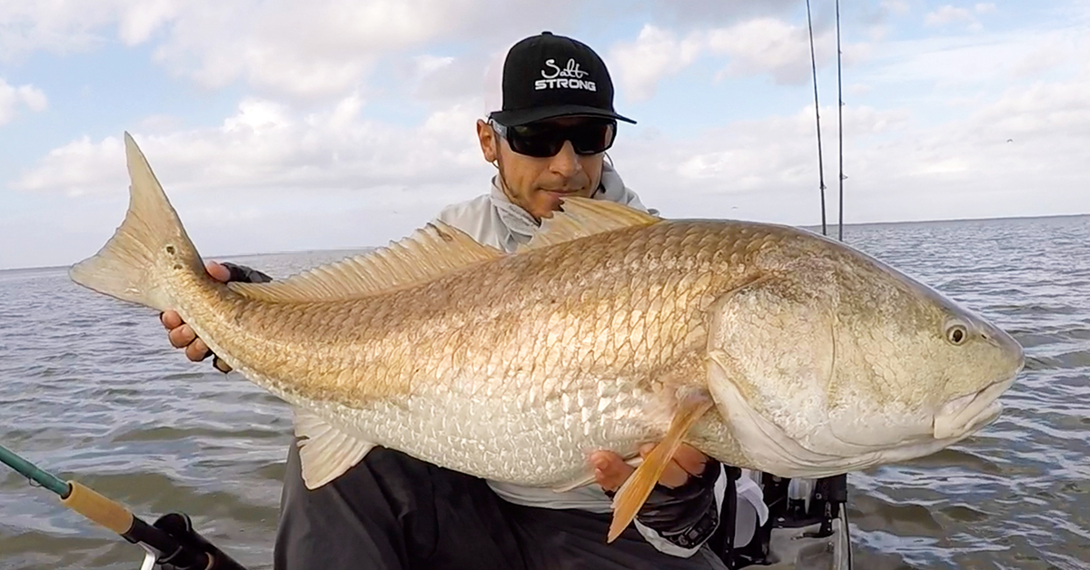 http://fall%20redfish