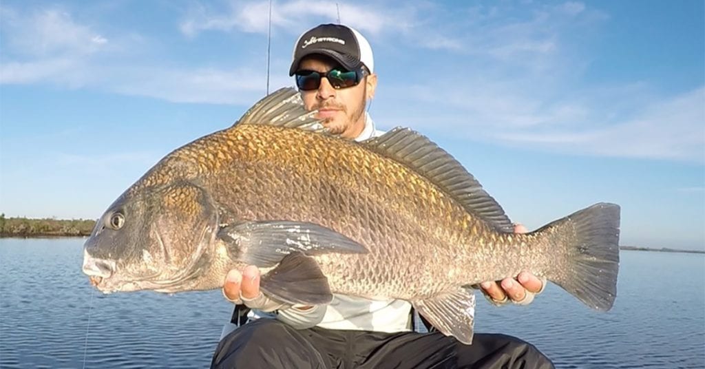 how to catch black drum