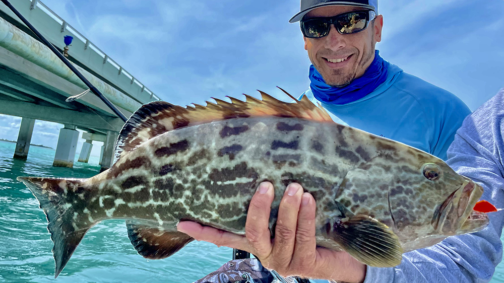 florida keys grouper