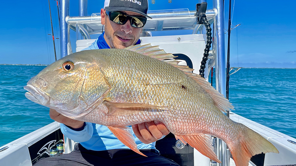 frozen shrimp in florida keys