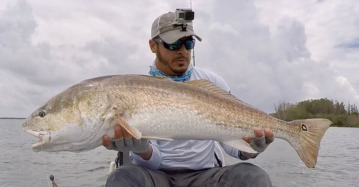 http://big%20bull%20redfish