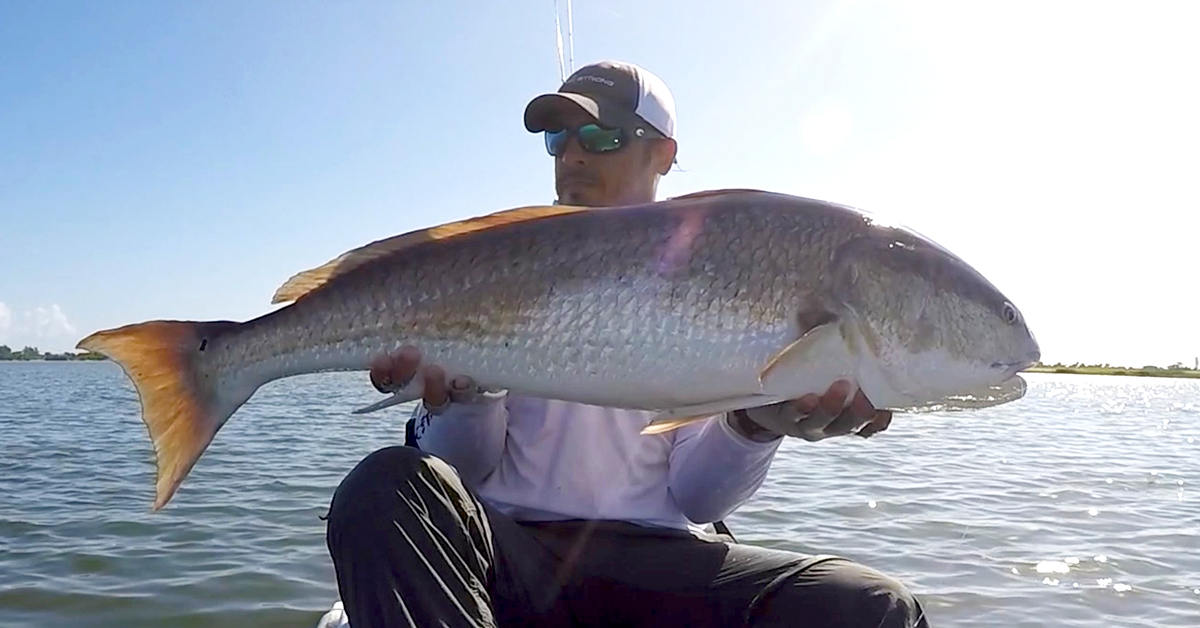 http://tony%20from%20salt%20strong%20bull%20redfish