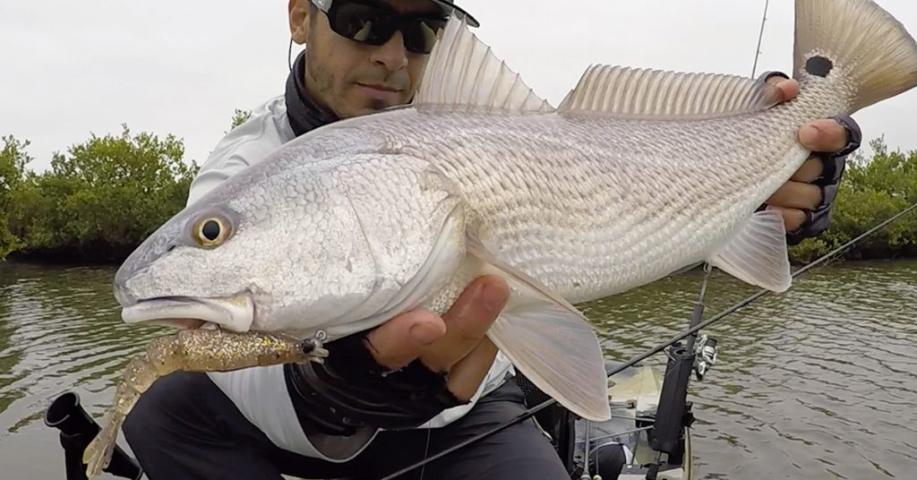 best new shrimp lure