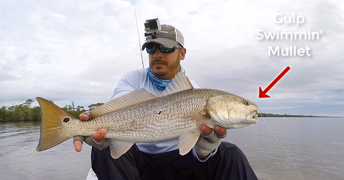 http://tony%20redfish