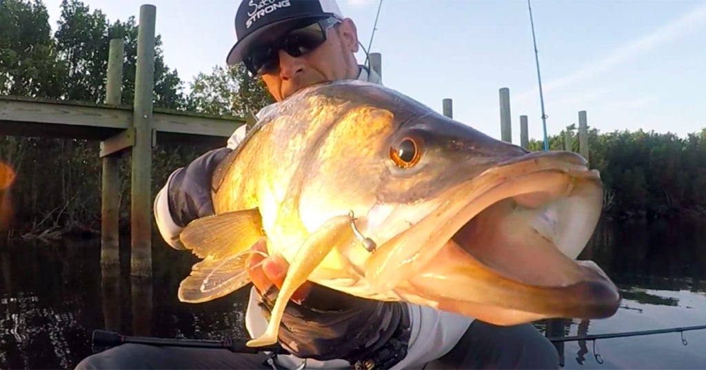 snook on slam shady