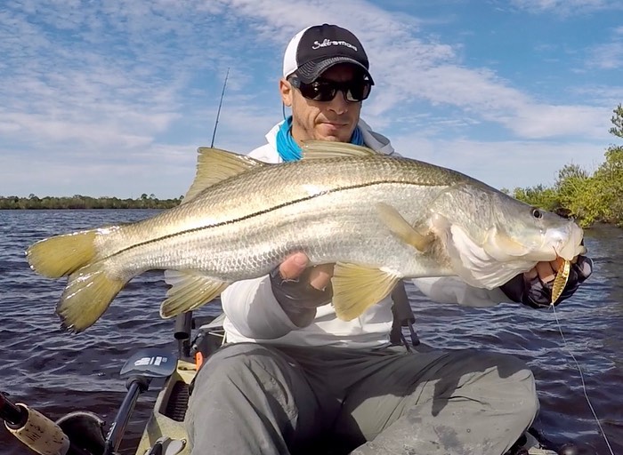 snook on aqua dream living spoon