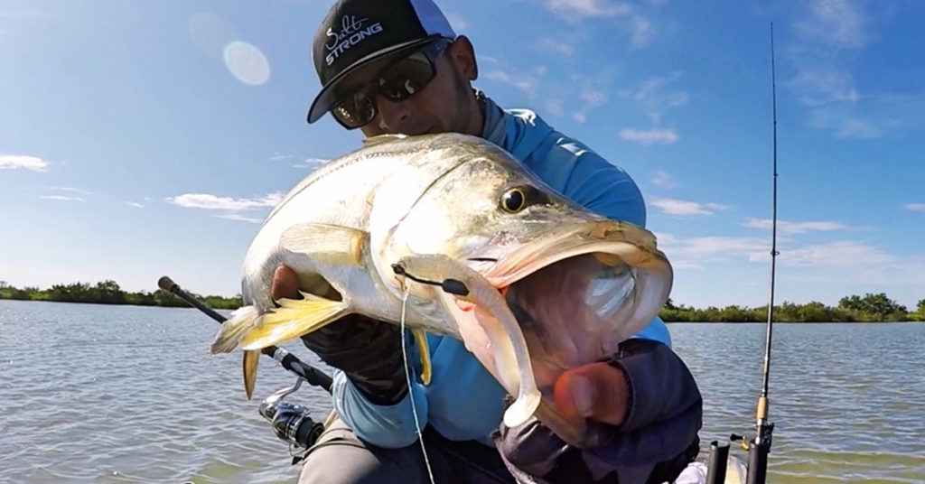 how to fish mangroves for snook