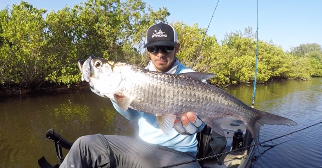 best juvenile tarpon lure