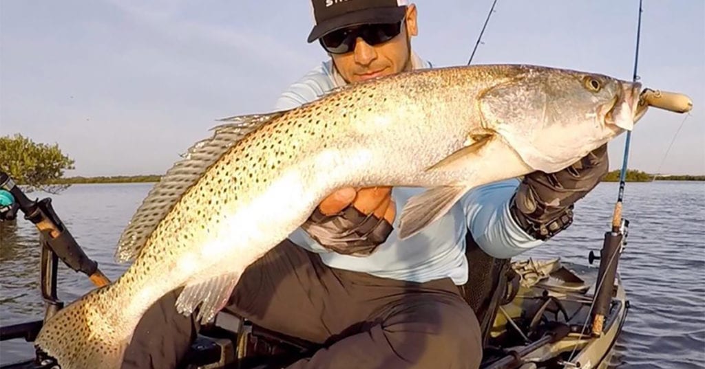 spring trout on topwater