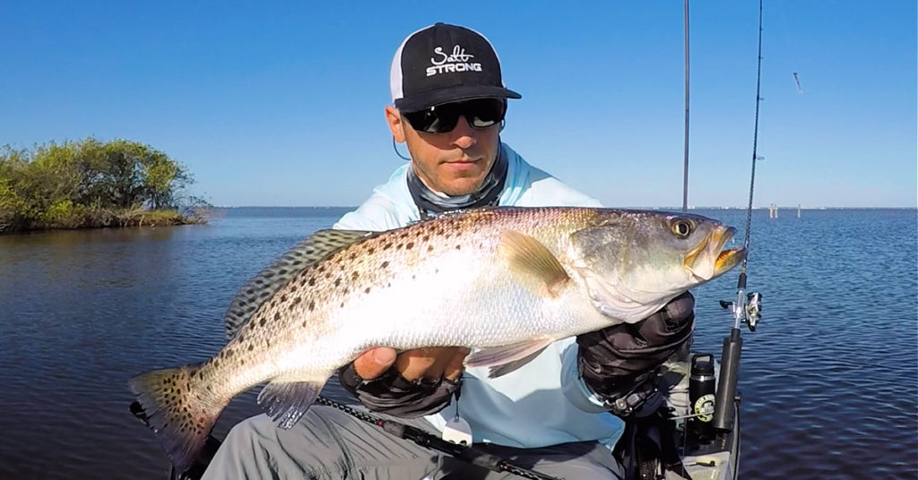 catching fish around dolphins