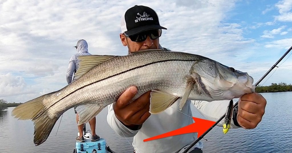 topwater fishing lure mistake
