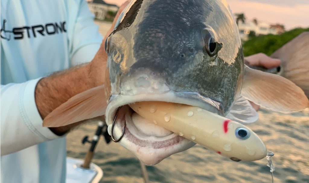 topwater lure for redfish
