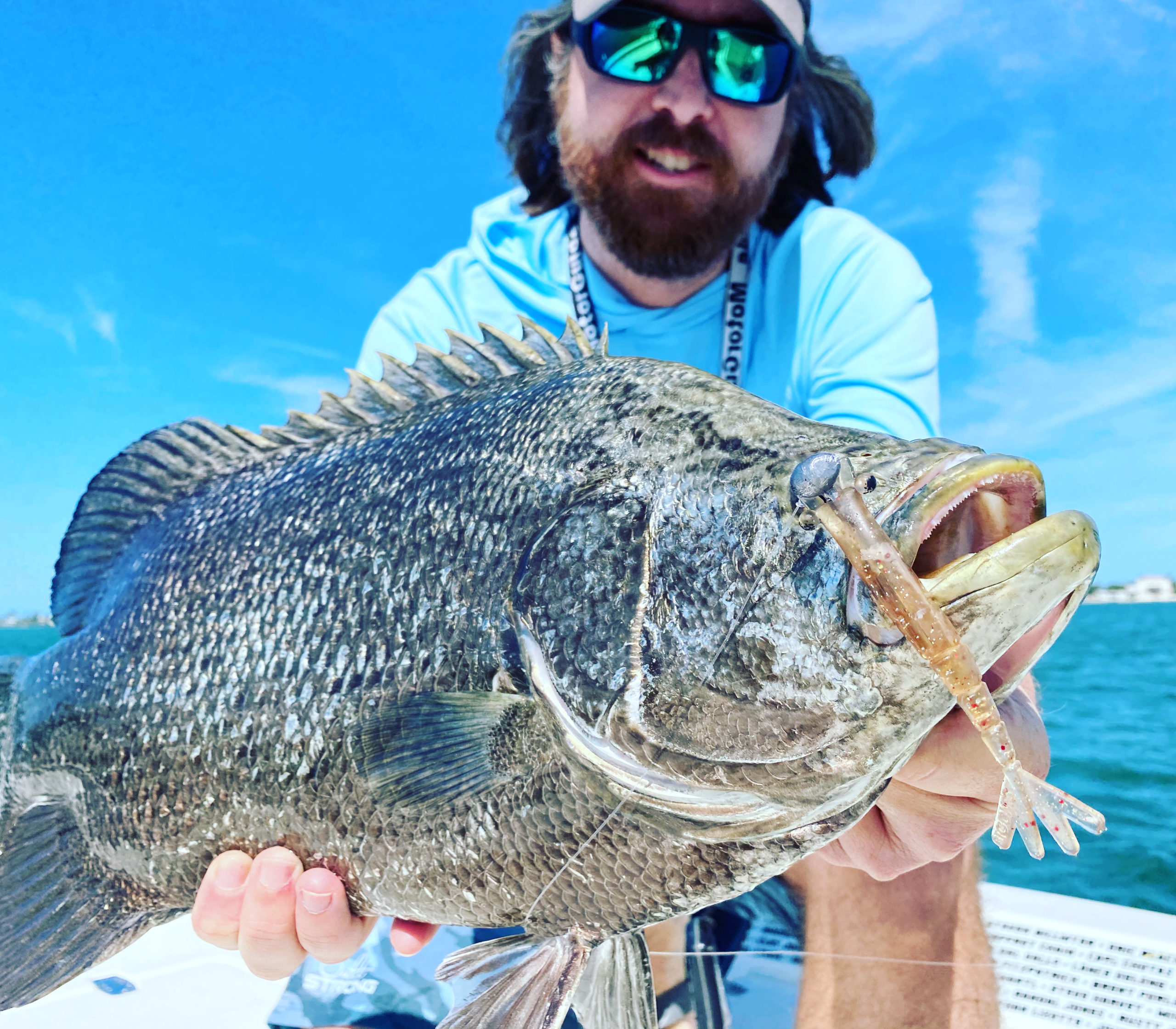 football jig tripletail