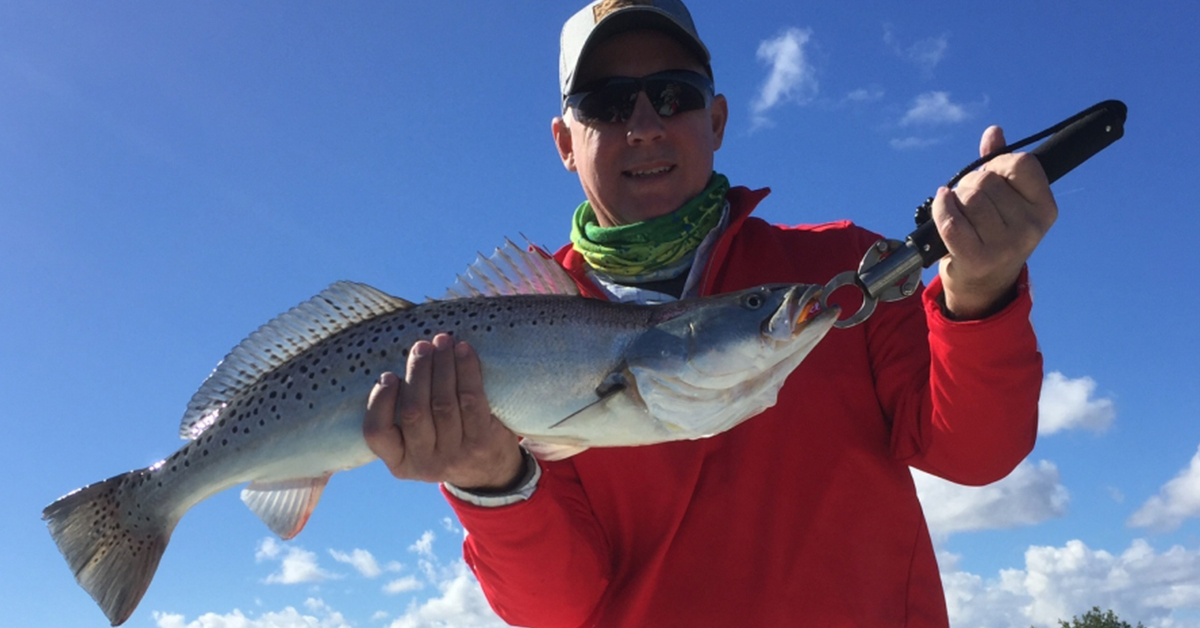 Virginia Artificial Reef Trout