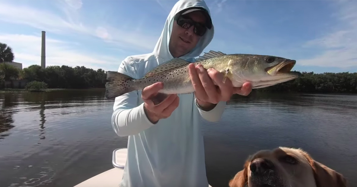 tournament prep trout