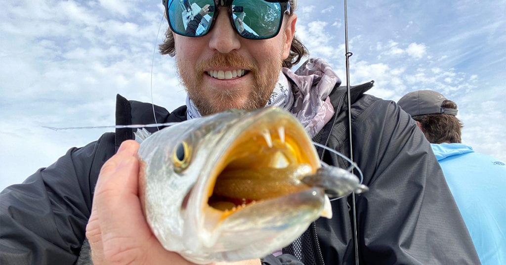 catch trout in winter