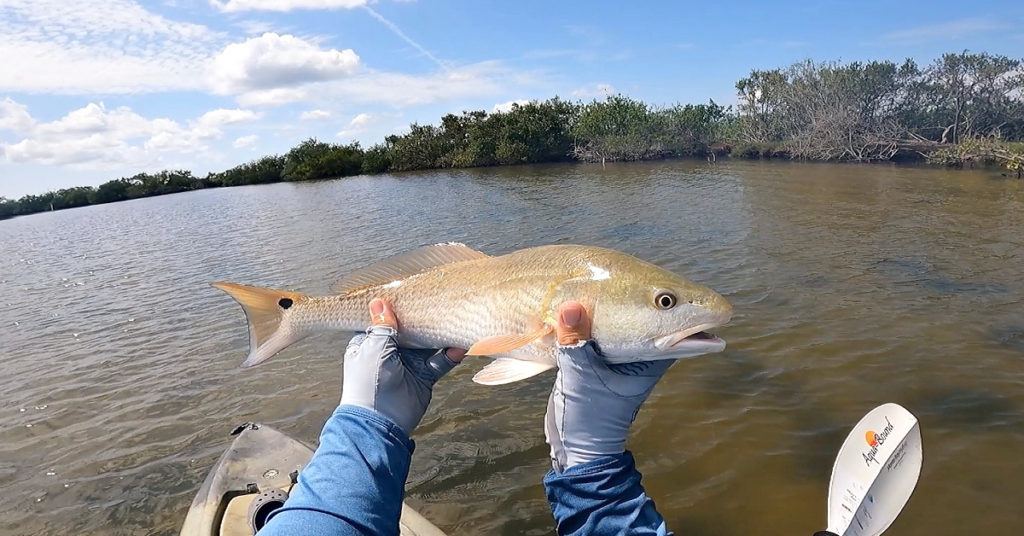 targeting trout and redfish using bass fishing methods