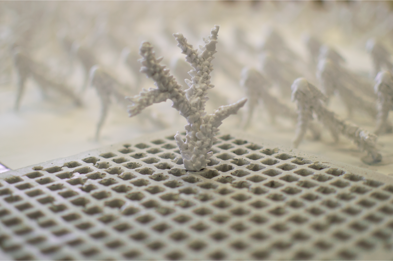 3d printed coral reef