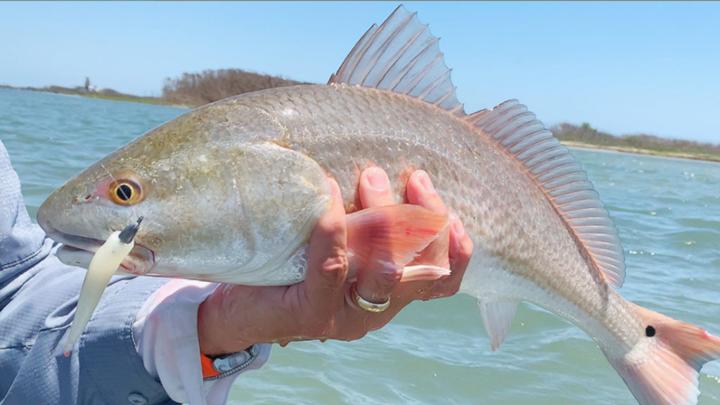 wading for redfish