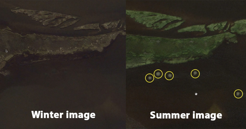 winter vs summer oyster bars
