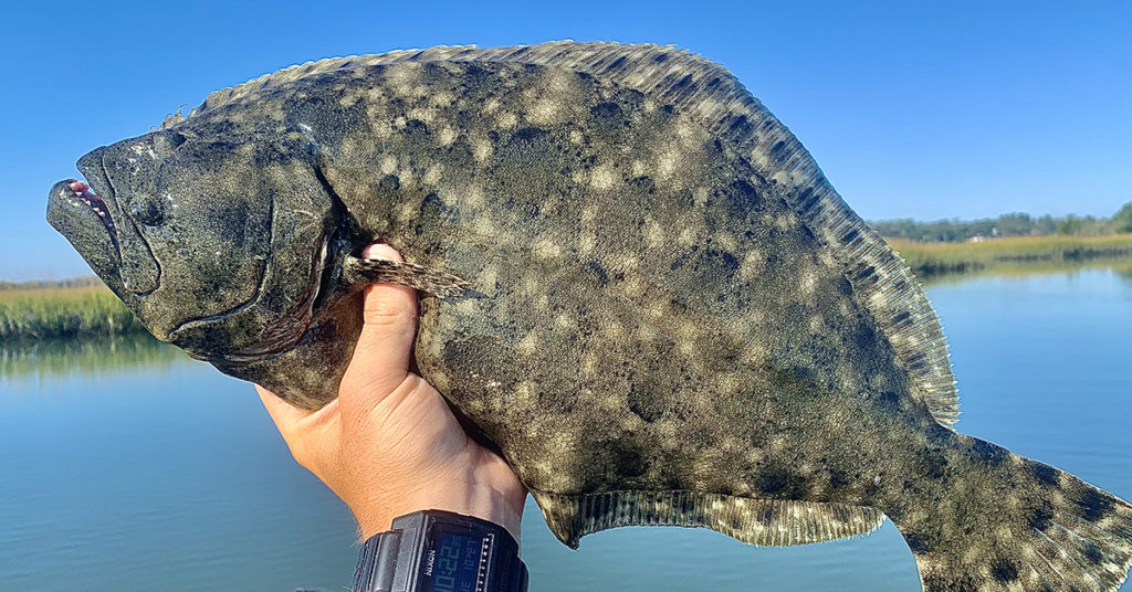 best spot for fall flounder