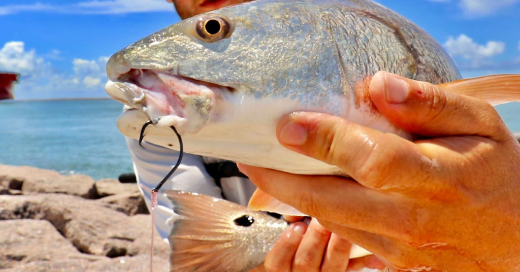 best hooks for surf and jetty fishing