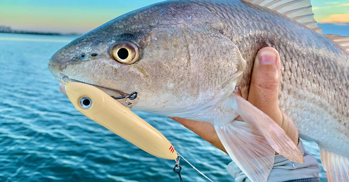 http://summer%20topwater%20tips